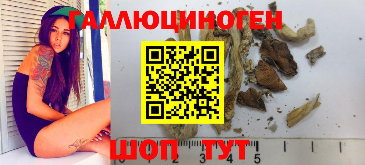 Псилоцибиновые грибы Magic Shrooms  Вход с VPN  Ялуторовск 